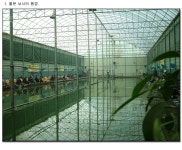 제이에스 > 새롭게 단장하여 오픈한 월문 낚시터~! : 낚시사랑