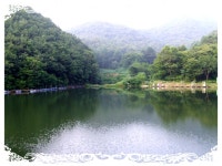 키드 > ☆한폭의 그림같은 낚시터 그린★ : 낚시사랑