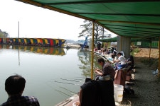 낚시사랑 > 터지면 무섭다~ : 낚시사랑