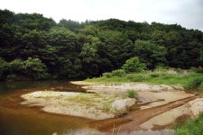 낚시사랑 > 철원 그리고..... : 낚시사랑