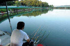 솟골낚시터 유료낚시터 > 남양주 솟골낚시터 이번주 개장합니다 : 낚시사랑