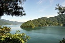 낚시사랑 > 수십번의 찌올림 속으로.. : 낚시사랑