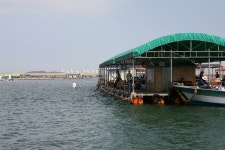 낚시사랑 > 올가을 가족, 친구 연인과 가볍게 가볼만한 곳 : 낚시사랑