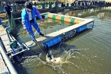 낚시사랑 > 서울 서남부 최고의 잡이터.. : 낚시사랑
