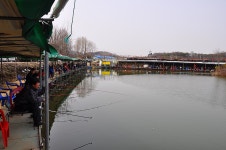 제이에스 > 구리 백암 공원 낚시터 스타트 : 낚시사랑