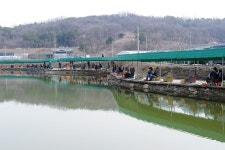 낚시사랑 > 잡이터가 그리울땐.. : 낚시사랑