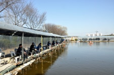 낚시사랑 > 즐거움이 있는 고양 백용낚시터 : 낚시사랑