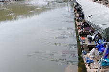 새말낚시터 유료낚시터 > 새말낚시터 개장소식.. : 낚시사랑