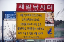 새말낚시터 유료낚시터 > 새말낚시터 개장소식.. : 낚시사랑