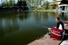 파라프레니아 > 손맛터의 지존 : 낚시사랑