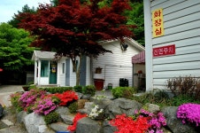 파라프레니아 > 메기,장어터로 거듭나다. : 낚시사랑