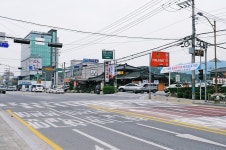 낚시사랑 > 가평 은행나무공원 : 낚시사랑