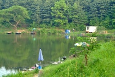 파라프레니아 > 묵직한 토종붕어를 느끼는 고급스런 소류지 : 낚시사랑