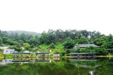 낚시사랑 > 가평 은행나무공원 : 낚시사랑