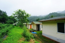 낚시사랑 > 가평 은행나무공원 : 낚시사랑