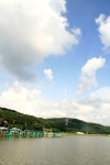 파라프레니아 > 상덕저수지 : 낚시사랑