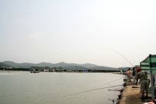 파라프레니아 > 등대바다낚시터 : 낚시사랑