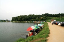 파라프레니아 > 남전지 : 낚시사랑