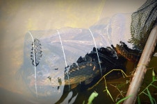 낚시사랑 > 큰골낚시터 : 낚시사랑