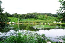 낚시사랑 > 큰골낚시터 : 낚시사랑