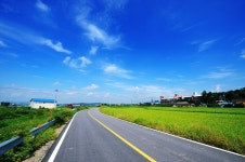 낚시사랑 > 큰골낚시터 : 낚시사랑