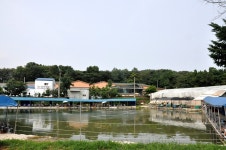 낚시사랑 > 새로운 모습의 시흥 서봉 낚시터에서 연휴를. : 낚시사랑