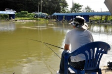 낚시사랑 > 새로운 모습의 시흥 서봉 낚시터에서 연휴를. : 낚시사랑