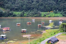 낚시사랑 > 세월낚시터 : 낚시사랑