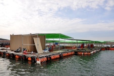 낚시사랑 > 바다좌대, 쭈꾸미, 갑오징어 한번에 해결하는 당암포를 찾아서 : 낚시사랑