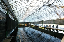 오산장어낚시터 유료낚시터 > 이번주 토요일 (10월 16) 개장합니다.. : 낚시사랑