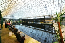 오산장어낚시터 유료낚시터 > 이번주 토요일 (10월 16) 개장합니다.. : 낚시사랑