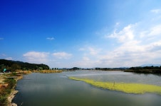 낚시사랑 > 입석낚시터 : 낚시사랑