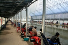 낚시사랑 > 남양주 임송낚시터 : 낚시사랑