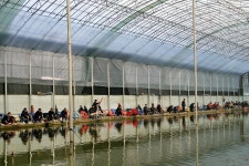 낚시사랑 > 남양주 임송낚시터 : 낚시사랑