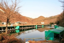파라프레니아 > 용인)묵리실내낚시터 : 낚시사랑