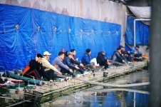 낚시사랑 > 남양주 경춘낚시터 : 낚시사랑