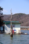 파라프레니아 > 두메저수지 : 낚시사랑