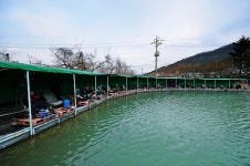 낚시사랑 > 화림낚시터 : 낚시사랑