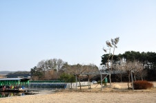 낚시사랑 > 여주 능서낚시터 : 낚시사랑