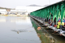 낚시사랑 > 여주 능서낚시터 : 낚시사랑