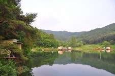 제이에스 > 청명하고 맑은 산수가 있으며 조용하고 아늑한 양평의 그린 낚시터 : 낚시사랑