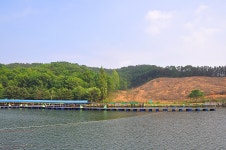 제이에스 > 반딧불이가 뛰놀고 가족과 함께하기 좋은 휴식처 : 낚시사랑