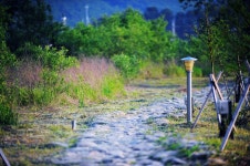 낚시사랑 > 홍천 무궁화낚시터 : 낚시사랑