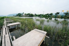 낚시사랑 > 탄금호 입석낚시터 : 낚시사랑