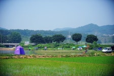 낚시사랑 > 탄금호 입석낚시터 : 낚시사랑