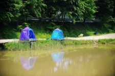 낚시사랑 > 탄금호 입석낚시터 : 낚시사랑