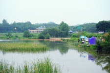 낚시사랑 > 탄금호 입석낚시터 : 낚시사랑