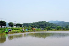 낚시사랑 > 탄금호 입석낚시터 : 낚시사랑