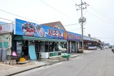 낚시사랑 > 당암포 남용호 바다좌대 : 낚시사랑