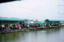 낚시사랑 > 이천 유일낚시터 : 낚시사랑